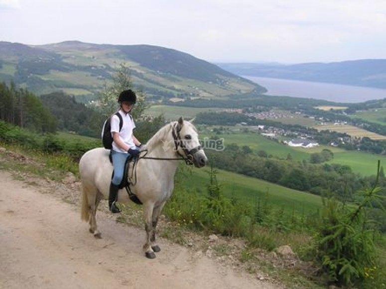 Making Strides, prices and reservations 2023